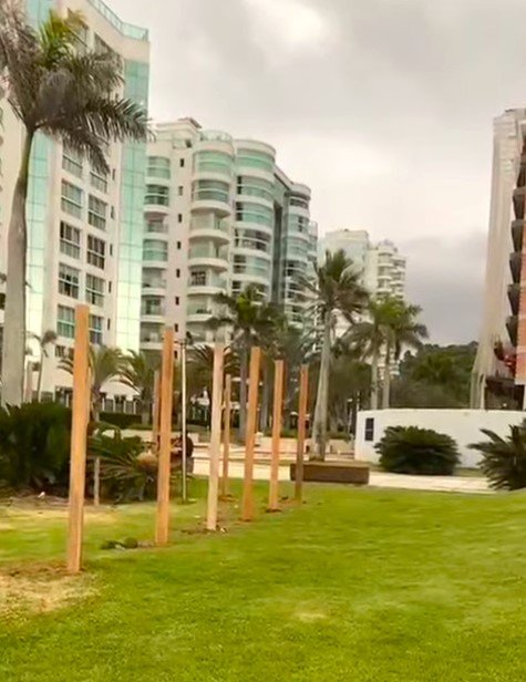 Canteiro Organizado